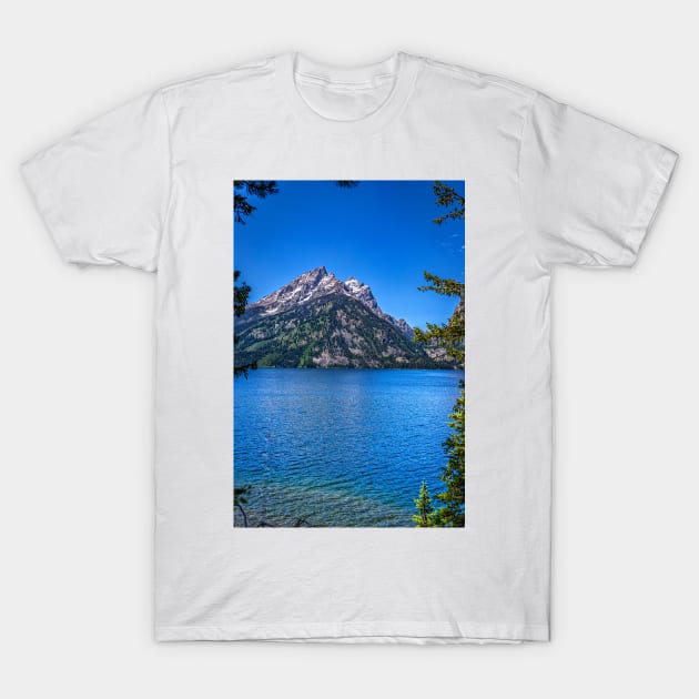 Jenny Lake Grand Teton National Park T-Shirt by Gestalt Imagery